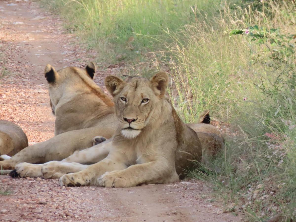 Muweti Bush Lodge Grietjie Game Reserve Dış mekan fotoğraf