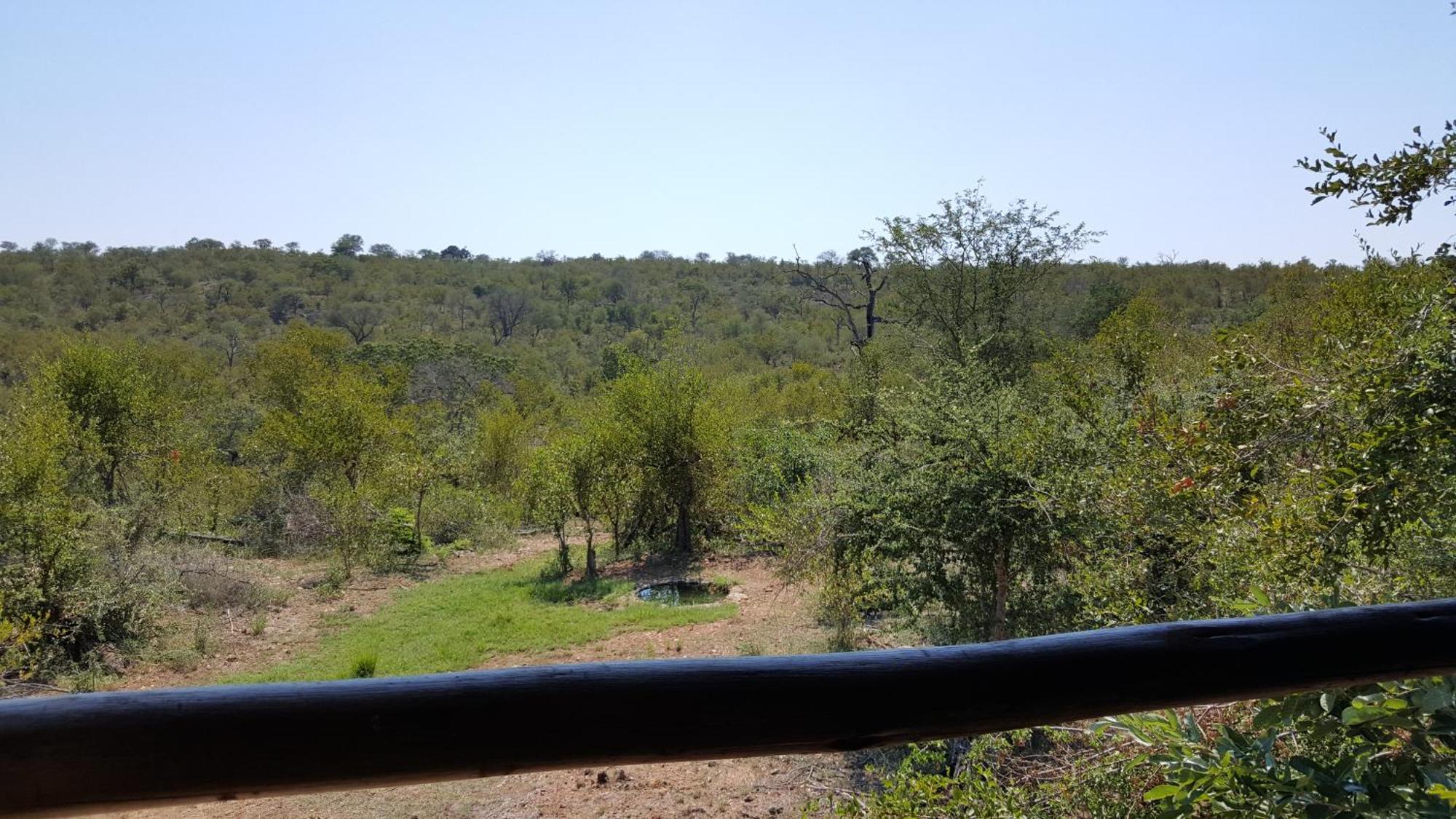 Muweti Bush Lodge Grietjie Game Reserve Oda fotoğraf