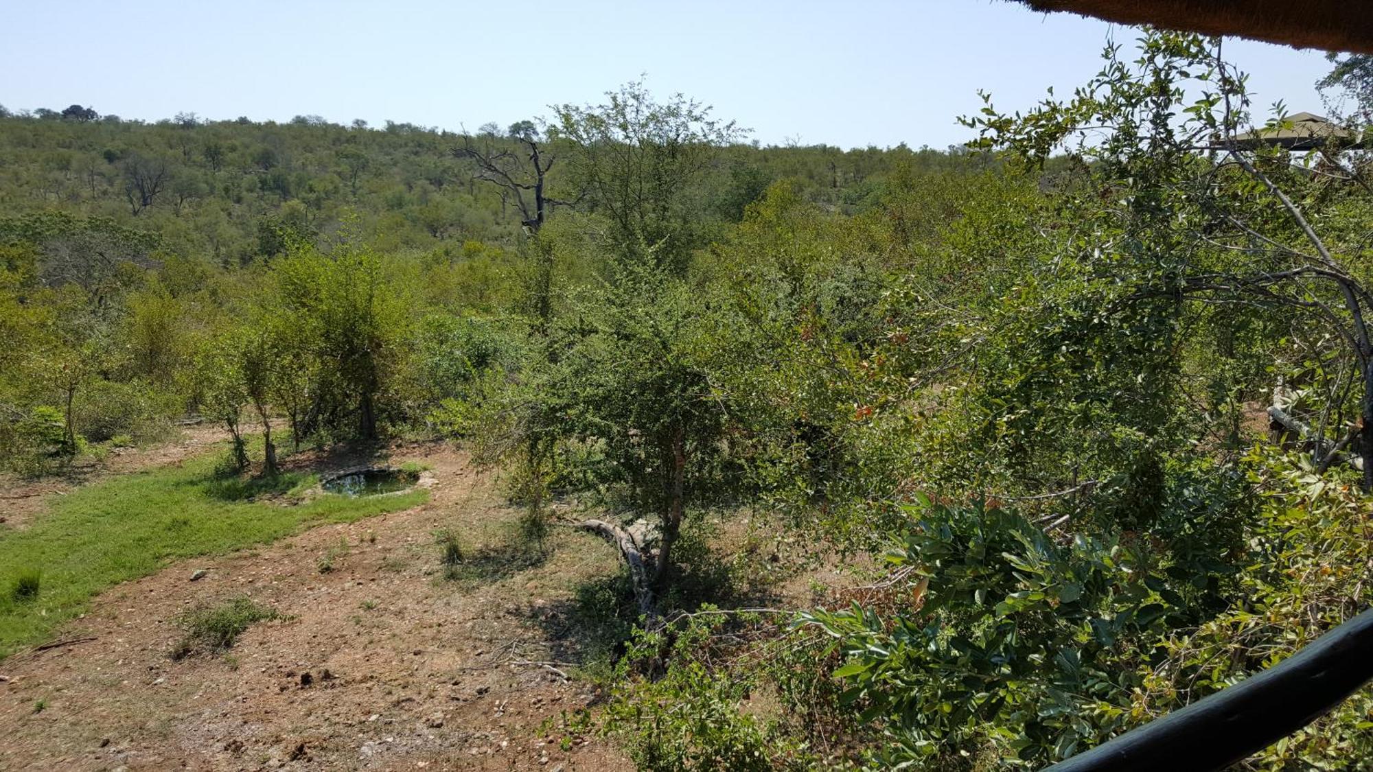 Muweti Bush Lodge Grietjie Game Reserve Oda fotoğraf